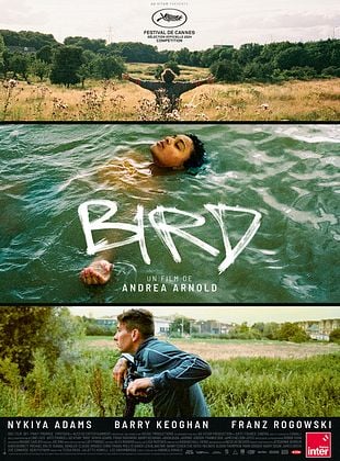 Affiche : Bird